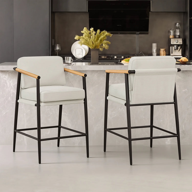 Charlotte Basic Modern Counter Stool (Set of 2)