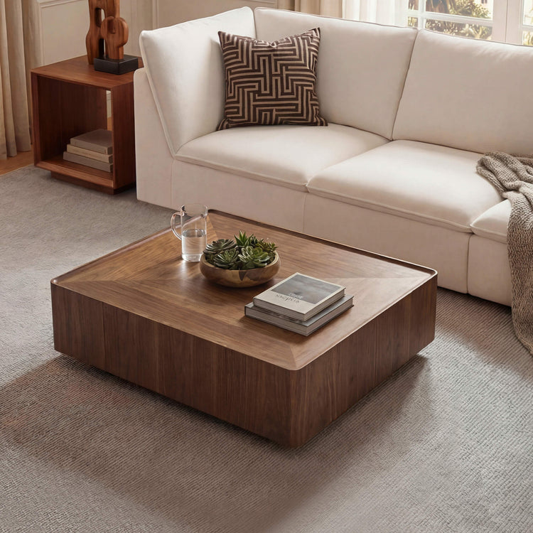 Vanessa Cube Storage Coffee Table with Two Drawers