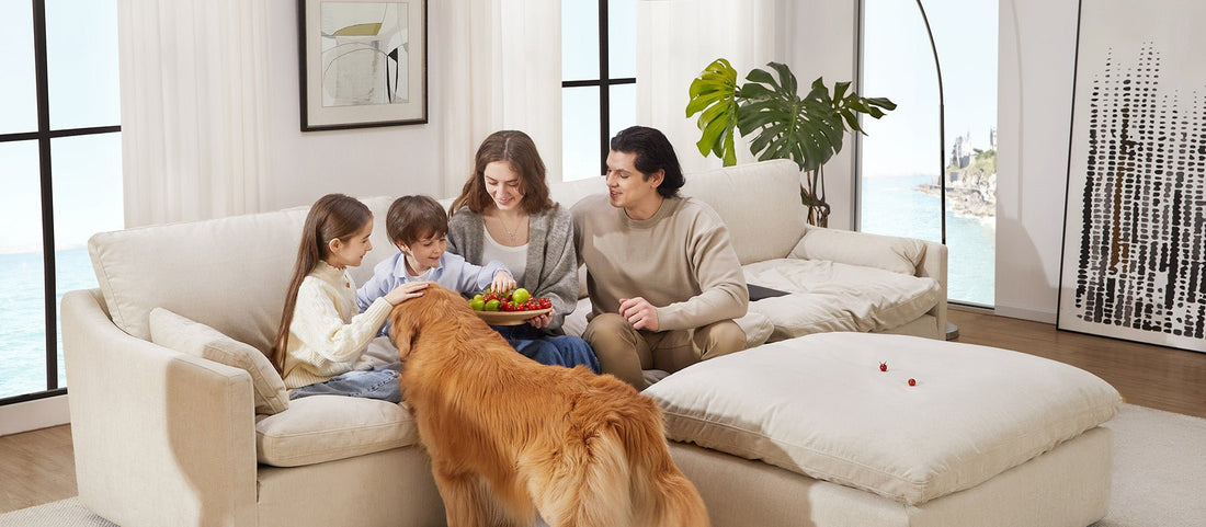 Creating a Cozy Home: How KENNA Sofa Collection Transforms Your Living Space? - CHITA LIVING