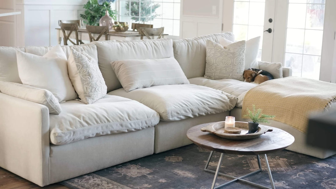Should Dogs Be Allowed on Your New Sectional Sofa? - CHITA LIVING