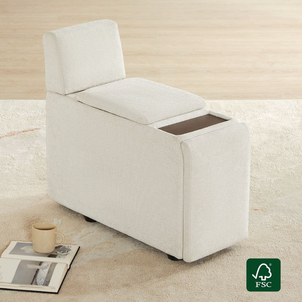 Delaney Power Functional Storage Console