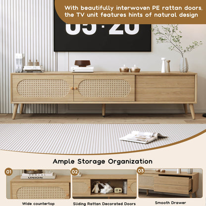 Anders Rattan TV Stand with Sliding Door and Drawer
