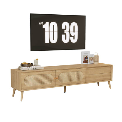Anders Rattan TV Stand with Sliding Door and Drawer