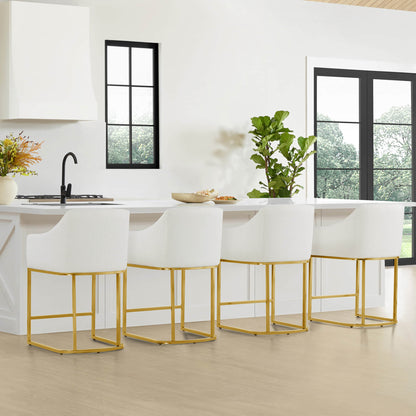 Aubrey Modern Barrel Counter Stools  (Set of 2)