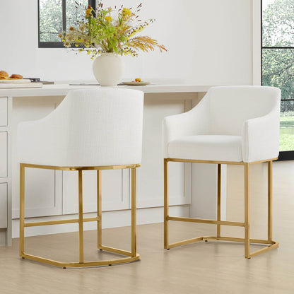 Aubrey Modern Barrel Counter Stools  (Set of 2)