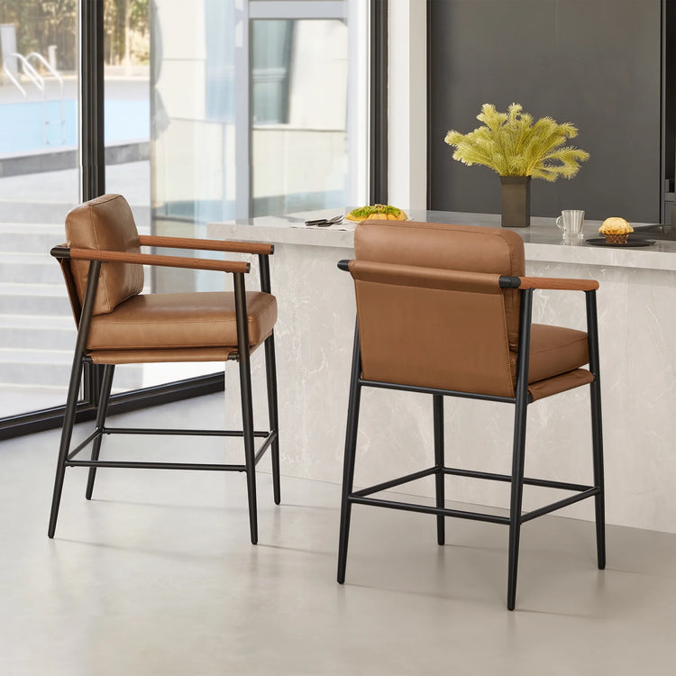 Charlotte Basic Modern Counter Stool (Set of 2)
