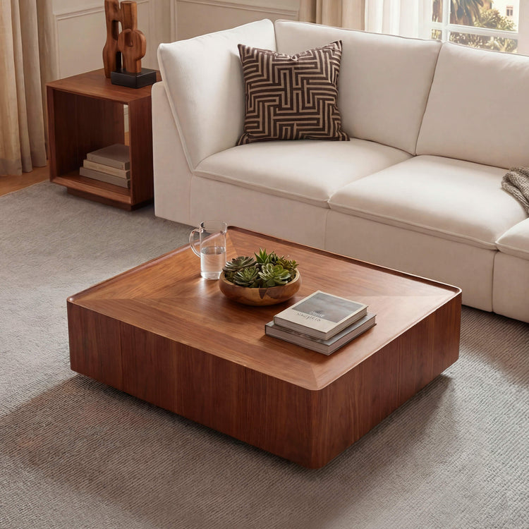 Vanessa Cube Solid Wood Storage Coffee Table with Two Drawers