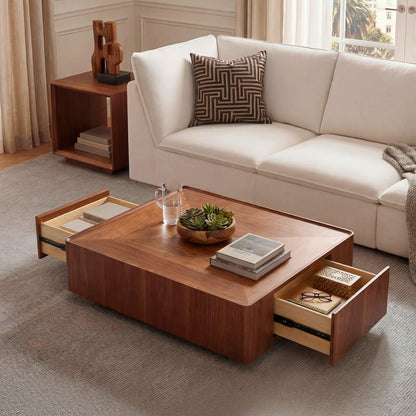Vanessa Cube Solid Wood Storage Coffee Table with Two Drawers