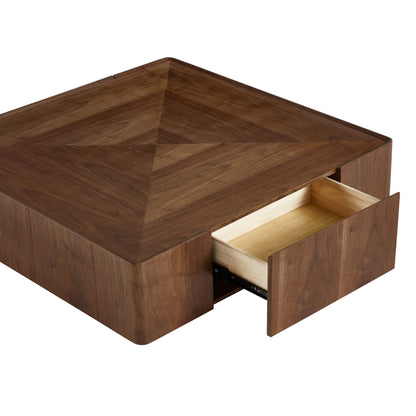 Vanessa Cube Solid Wood Storage Coffee Table with Two Drawers