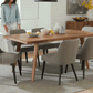 Rhett Modern Dining Chair (Set of 2)