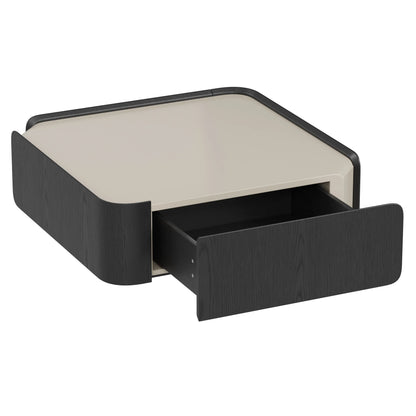 Glenn Square Storage Coffee Table with Dual Drawers