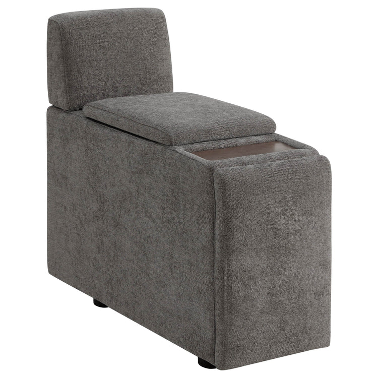 Delaney Power Functional Storage Console