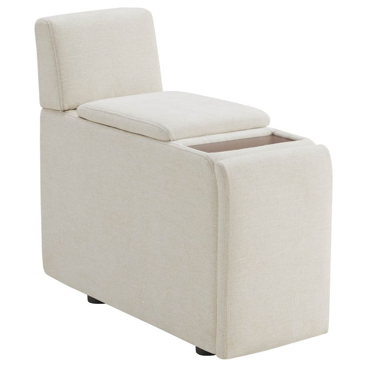 Delaney Power Functional Storage Console
