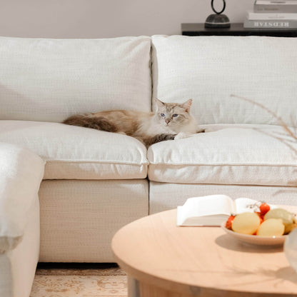 Cozy Sophia modular sofa with cat lounging in modern living room setting - CHITA Living