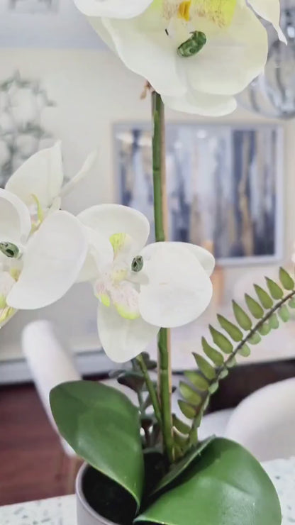 71” Layla Sintered Stone Elegant Soft-Corner Dining Table